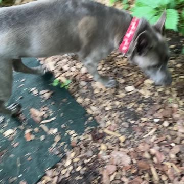 Sniffing me to see where I’ve been