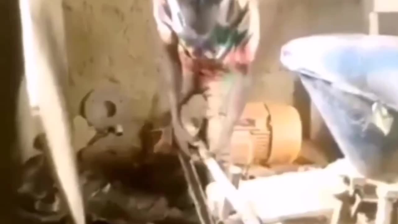 When you order an independent contractor off wish .com