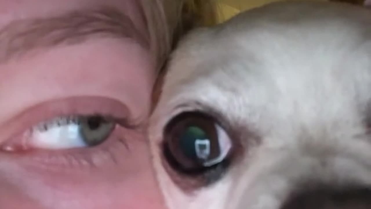 Two Halves Of A Whole