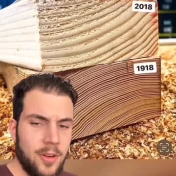 Cutting down the big trees effect the whole trees in the forest