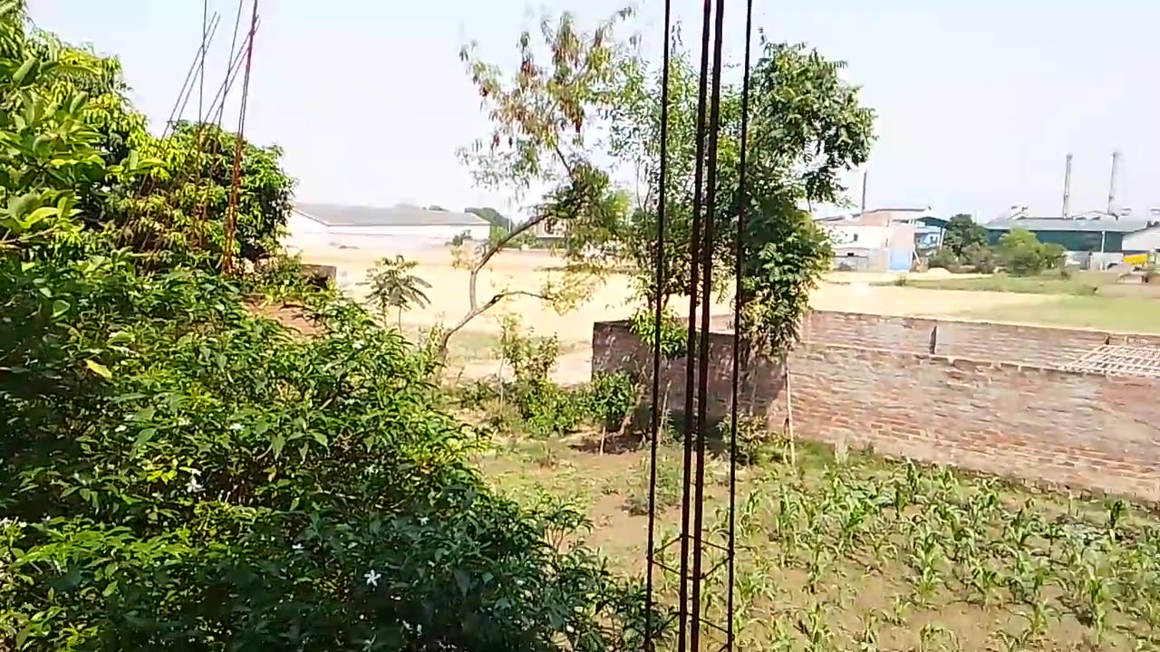 माय विलेज इज नाइस