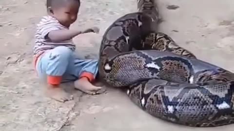 See what the snake did to the child