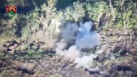 Footage from Ukrainian Heavy Artillery Crew