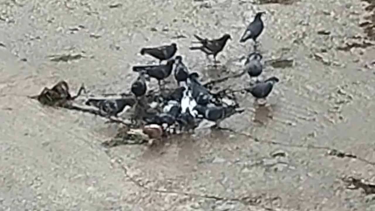 ΜΕ ΛΙΓΟ ΝΕΡΑΚΙ Η ΚΡΑΣΑΚΙ Η ΑΛΕΥΡΑΚΙ ΘΑ ΠΕΦΤΟΥΝ ΓΙΑ ΠΡΟΣΚΥΝΗΣΗ ΣΤΟΝ ΔΙΑΒΟΛΟ!!!ΜΗ ΓΕΝΟΙΤΟ