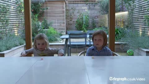 The marshmallow test can children learn self-control