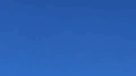 化學凝尾影片最佳年度大獎