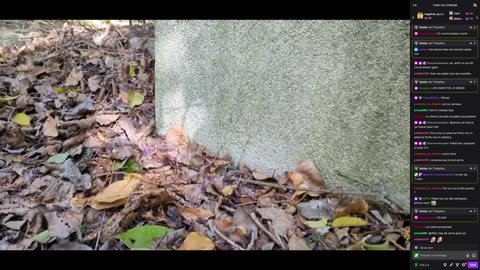 2023-04-25 (6bis) - Urbex sans chaussures - Twitch Decheterie (version avec chat)