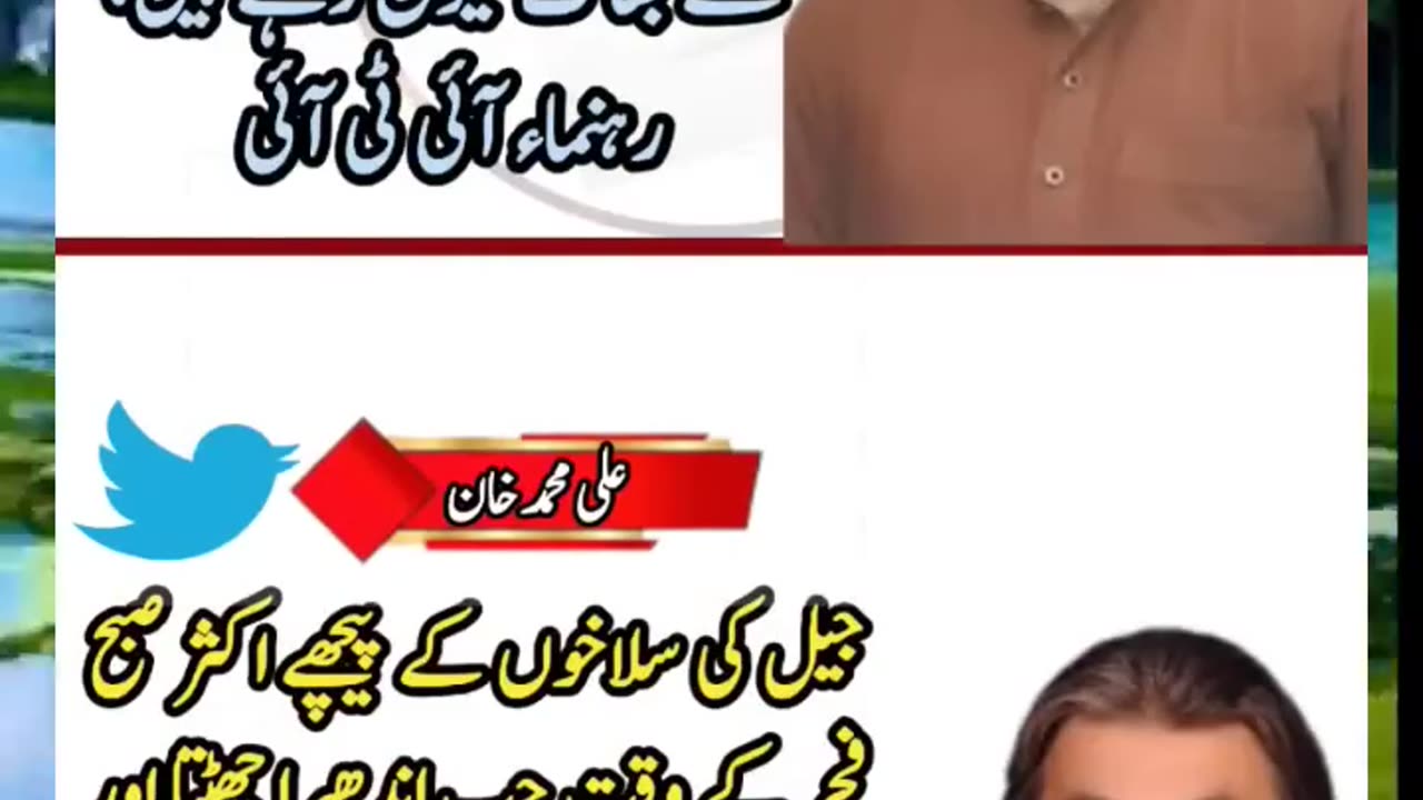 محمد علی خان کا بیان