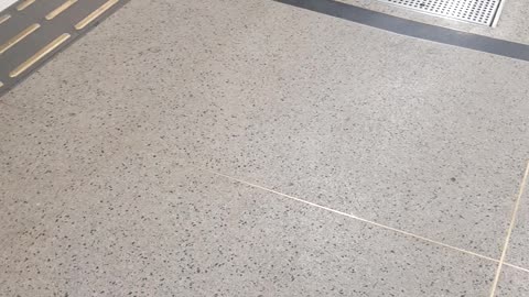 2022/02/16 On my way back Home.