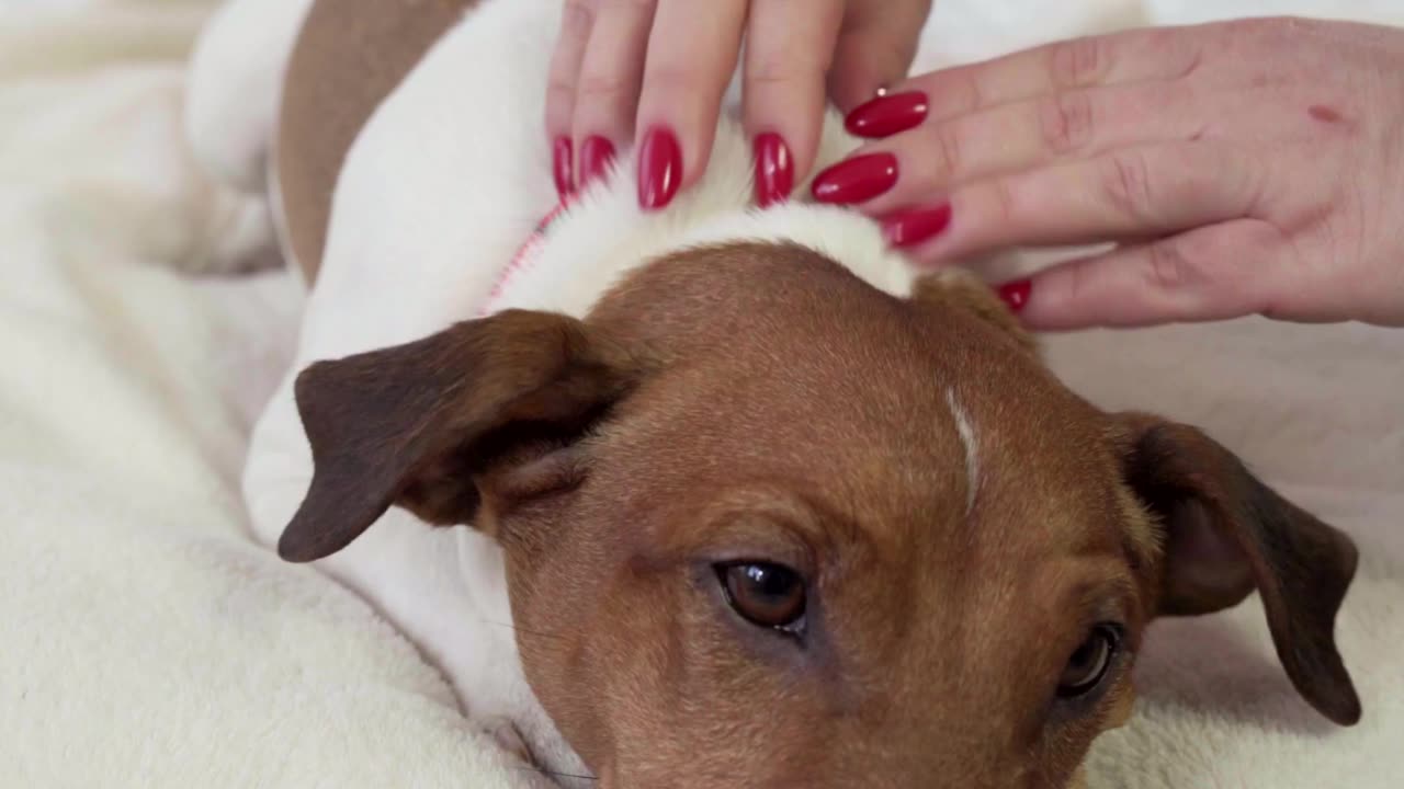 Medical Therapy Video