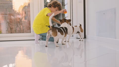 Blond Boy With Curly Hair Kneeling On The Floor While Playing With A Ball With Their