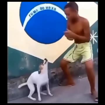 Most watched funny videos