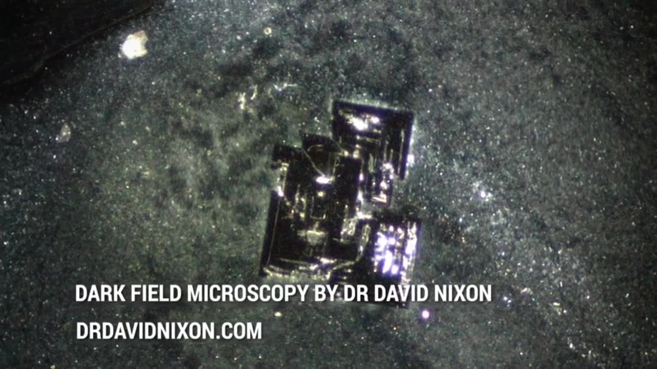 Dr. David Nixon Reveals Vaccine Mysteries With Darfield Microscopy alldeles nyss