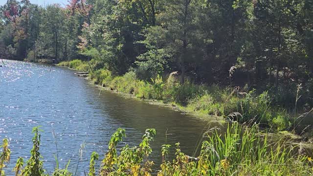 Fishing hole