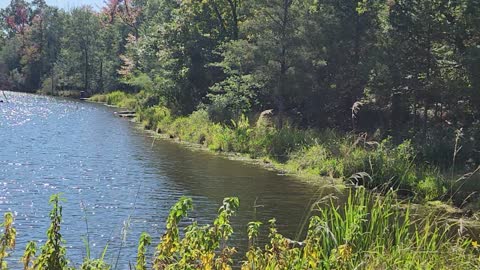 Fishing hole