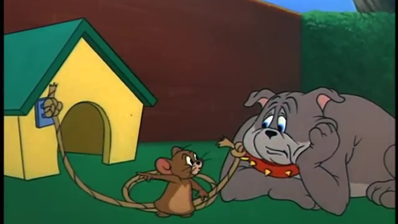 Tom and Jerry cartoon Hit the views 10Milion
