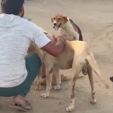 This man is a SAINT!