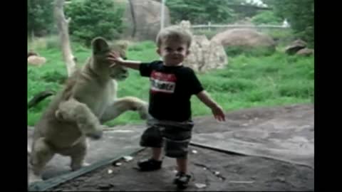 Kids at Zoo, Funny compilations 😂