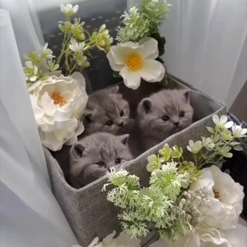 Happy Saturday morning everyone