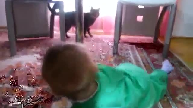 Little baby and Cat