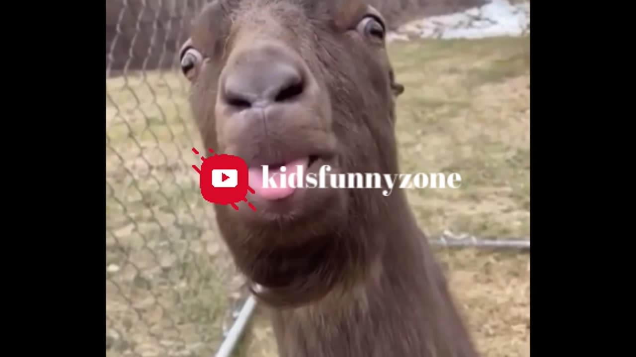😂 The Funniest Fails and Bloopers (Try Not to Laugh Challenge) 🤣part-13