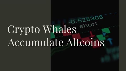 Crypto Whales Bought These Altcoins in the Second Week of December 2024