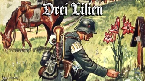 Drei Lillien