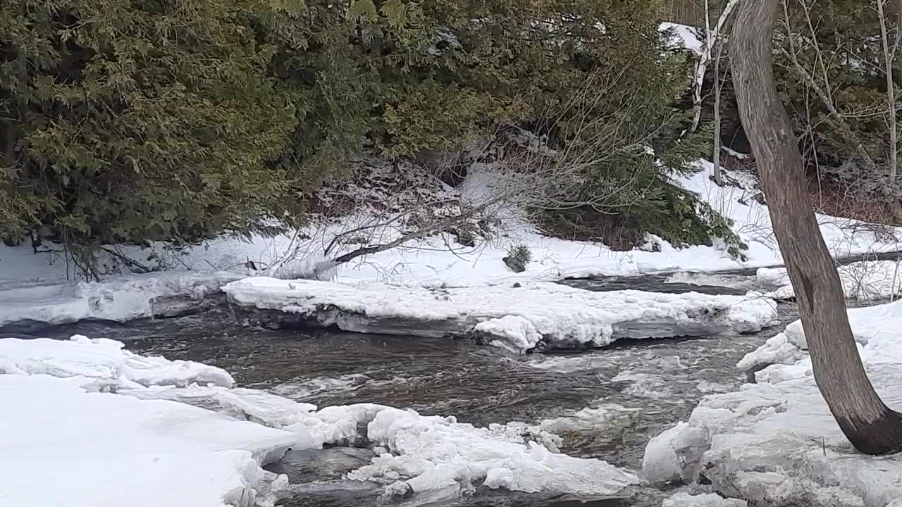 Ocqueoc Falls Tranquil Meditation