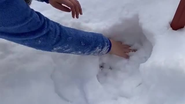 The cat is in twenty feet of snow for fear of its owner