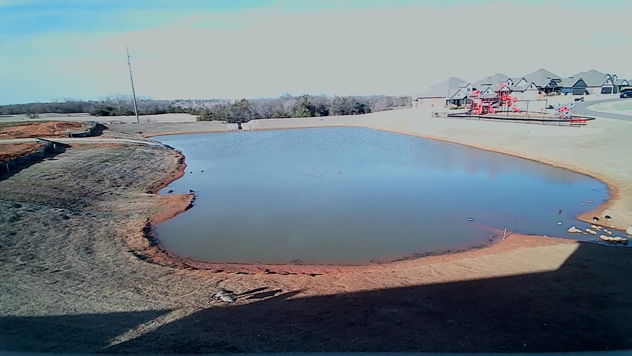 The Pond