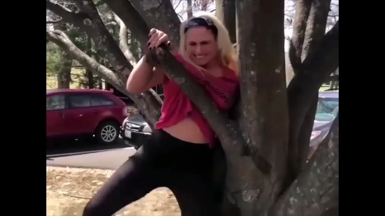 Chick gets stuck sliding out of fork on tree by her tits