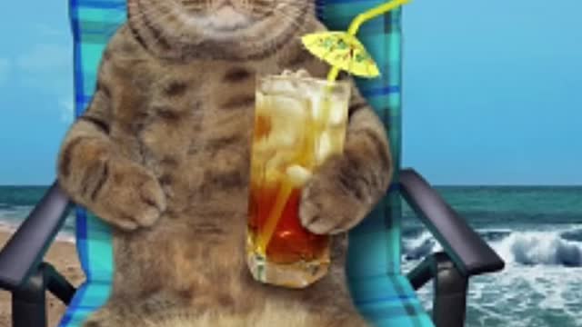 Comment the next song