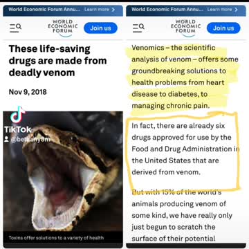 Literally Snake Oil Salesman