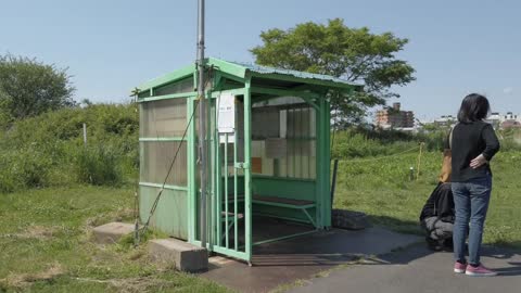 Ferryboat offers escape from the hustle of daily life - The Japan News