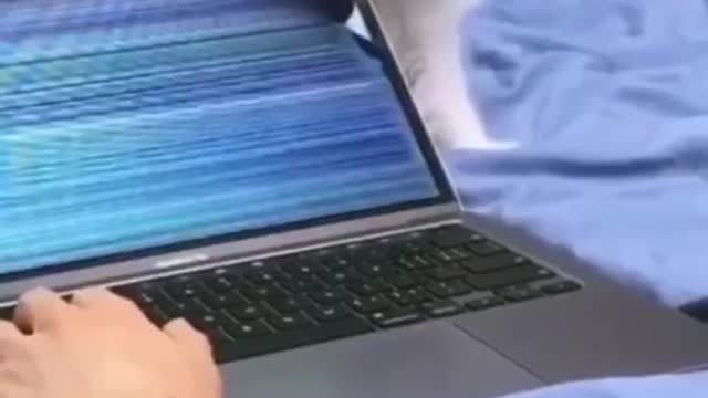 How to break laptop by cat