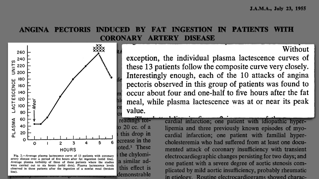 Fatty meals may impair artery function