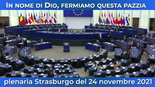 In nome di Dio , fermiamo queste pazzie : Francesca Donato interviene a Strasburgo