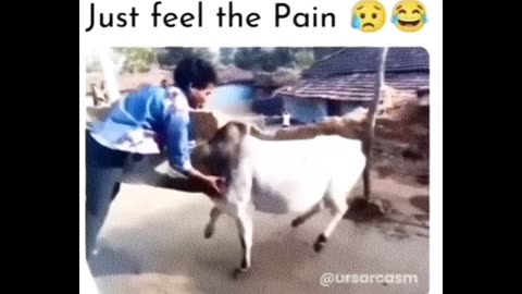 Most Funny Videos😂🤣