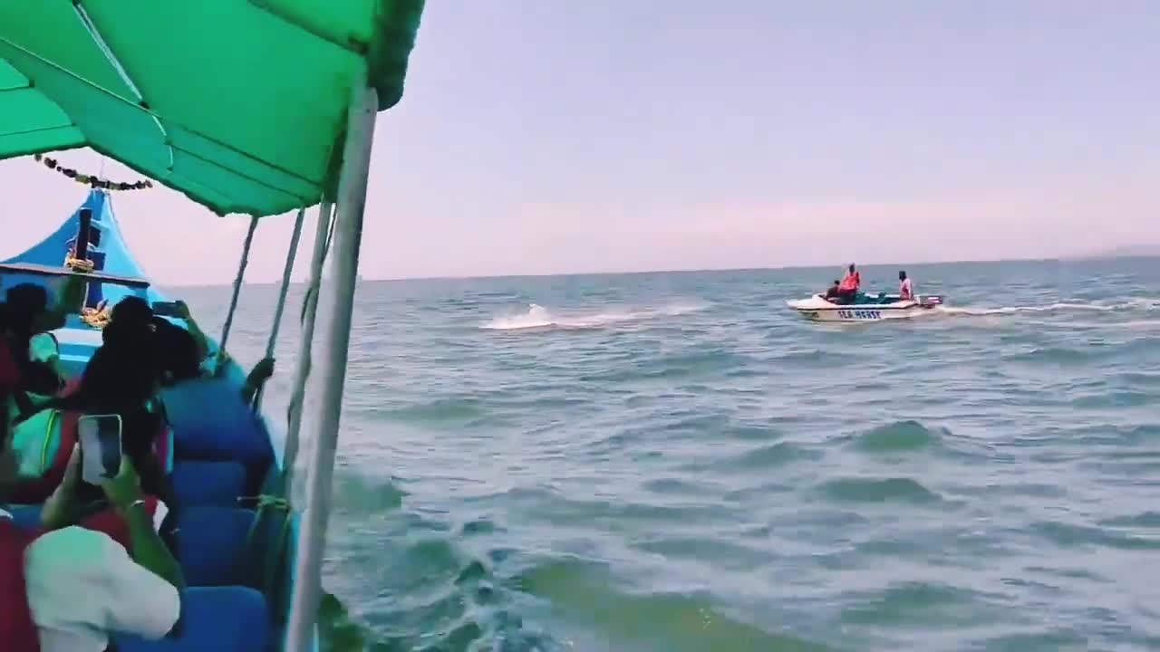 Dolphin jumping back to back 4 times in front of boat
