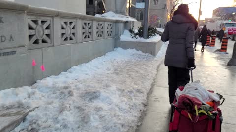 I found your terrorists Trudeau! Freedom Protest - Ottawa Feb.13