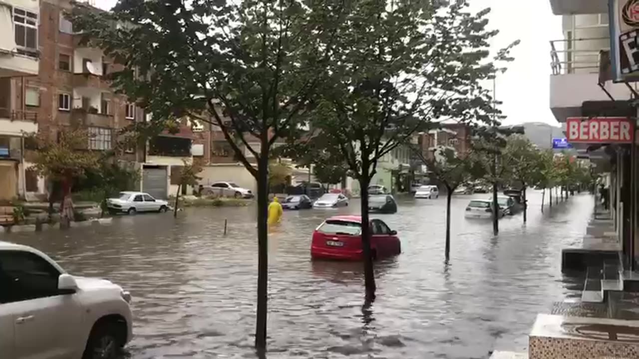 Reshjet vlore