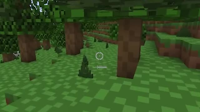 Minecraft, But It Gets More Realistic