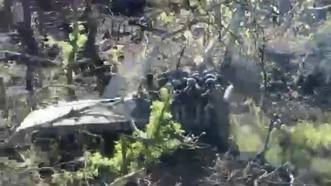 Intense Footage of Russians' Last Stand