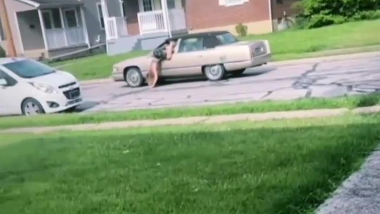 Give me my ……. 🤔