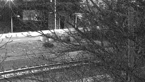 4405LOTS00Lot8-9East_2021-01-06_04h13min43s487ms.mp4