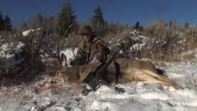 Best of Hunting Big Mule Deer | 2010-2019