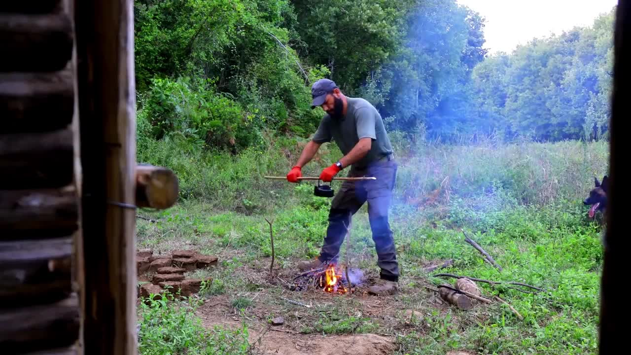 Camping with dogs in the wild