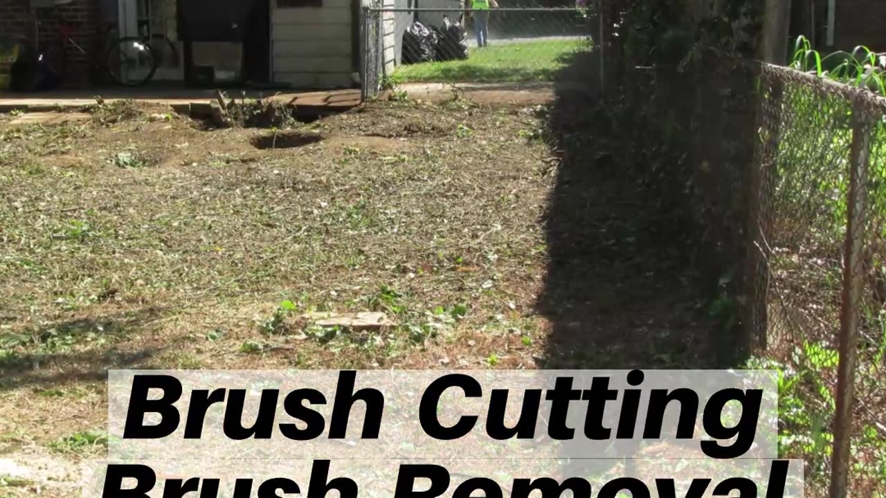 The Best Brush Cutting Needmore Pennsylvania Brush Removal