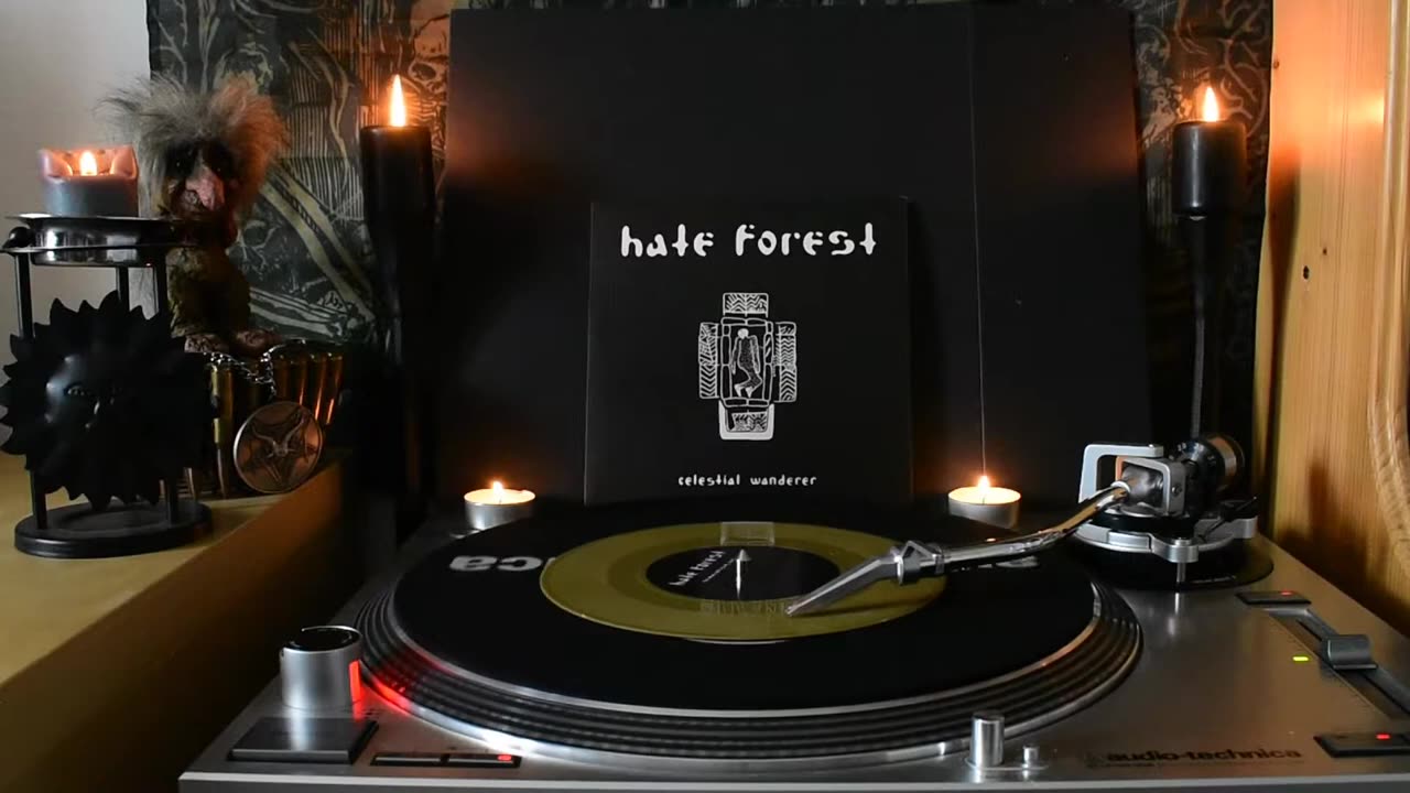 Hate Forest - celestial wanderer