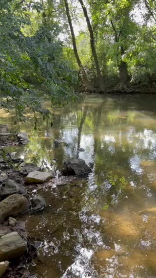 Beautiful stream in Fayetteville Tennessee